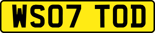 WS07TOD