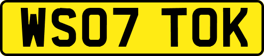 WS07TOK