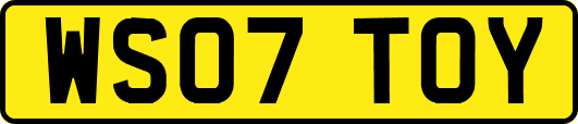 WS07TOY