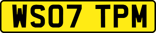 WS07TPM