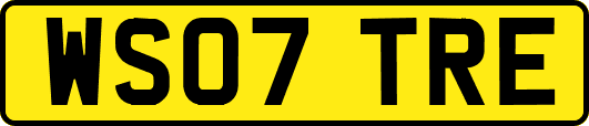 WS07TRE