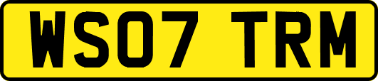 WS07TRM