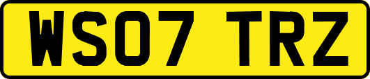 WS07TRZ