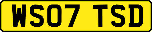 WS07TSD