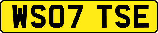 WS07TSE