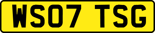 WS07TSG