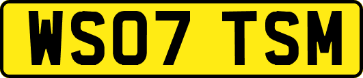 WS07TSM