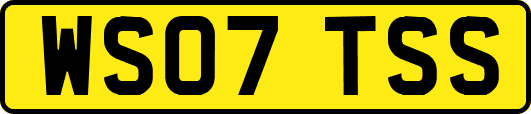 WS07TSS