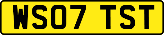 WS07TST