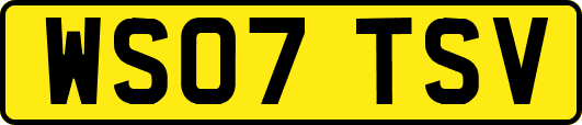 WS07TSV