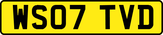 WS07TVD