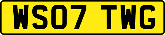 WS07TWG