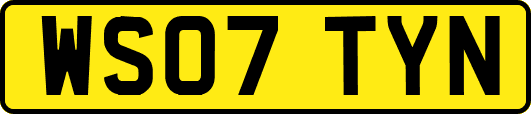 WS07TYN