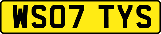 WS07TYS