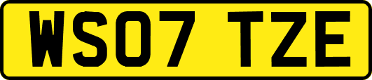 WS07TZE