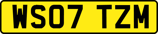 WS07TZM