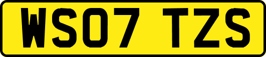 WS07TZS
