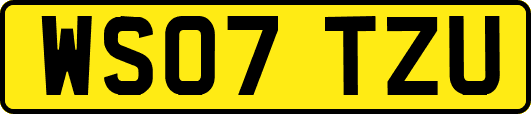 WS07TZU