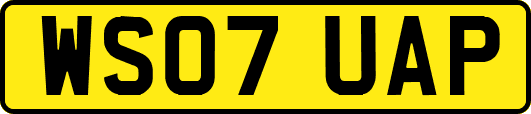 WS07UAP