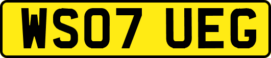 WS07UEG