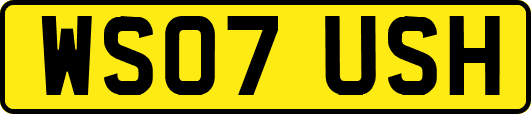 WS07USH