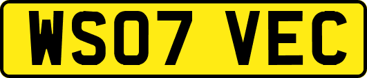 WS07VEC