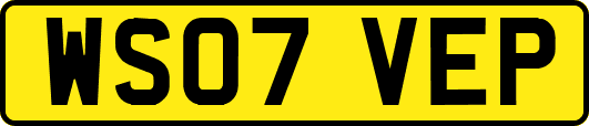 WS07VEP