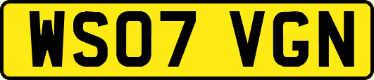 WS07VGN
