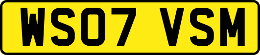 WS07VSM