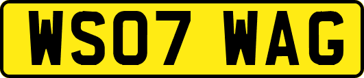 WS07WAG