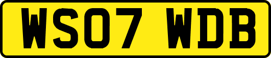 WS07WDB