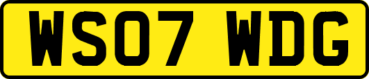 WS07WDG