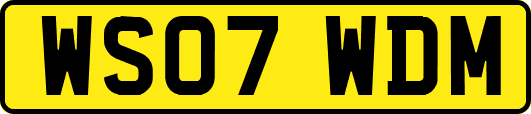 WS07WDM
