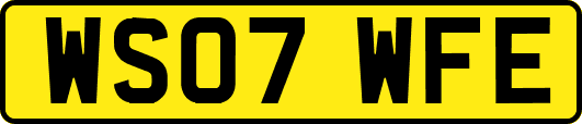 WS07WFE