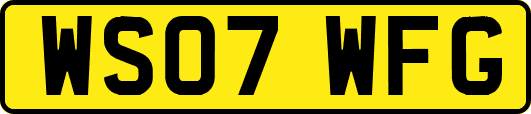 WS07WFG