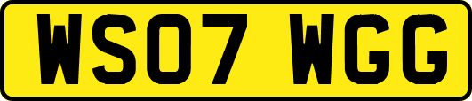 WS07WGG