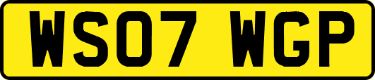 WS07WGP