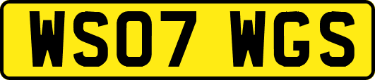 WS07WGS