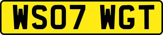 WS07WGT