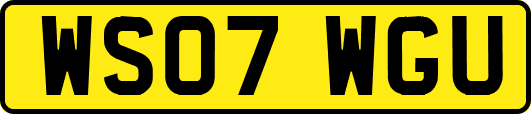 WS07WGU