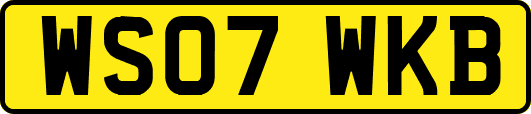 WS07WKB