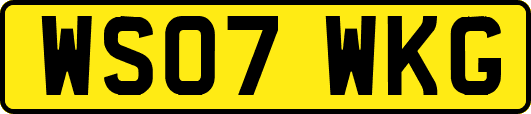 WS07WKG