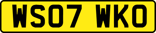 WS07WKO