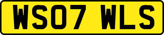 WS07WLS