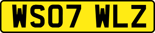 WS07WLZ