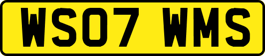 WS07WMS