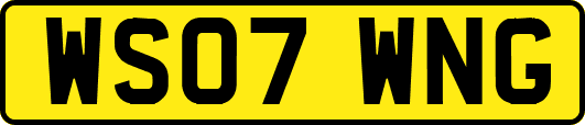WS07WNG