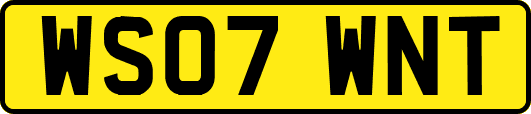 WS07WNT