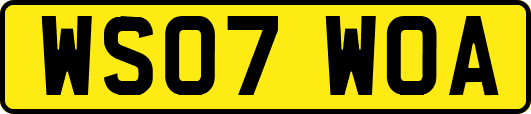 WS07WOA