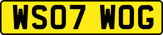 WS07WOG